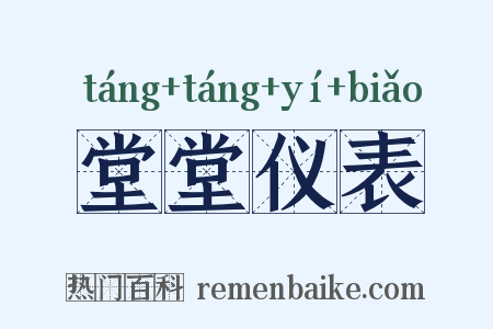 堂堂仪表是什么意思的图片